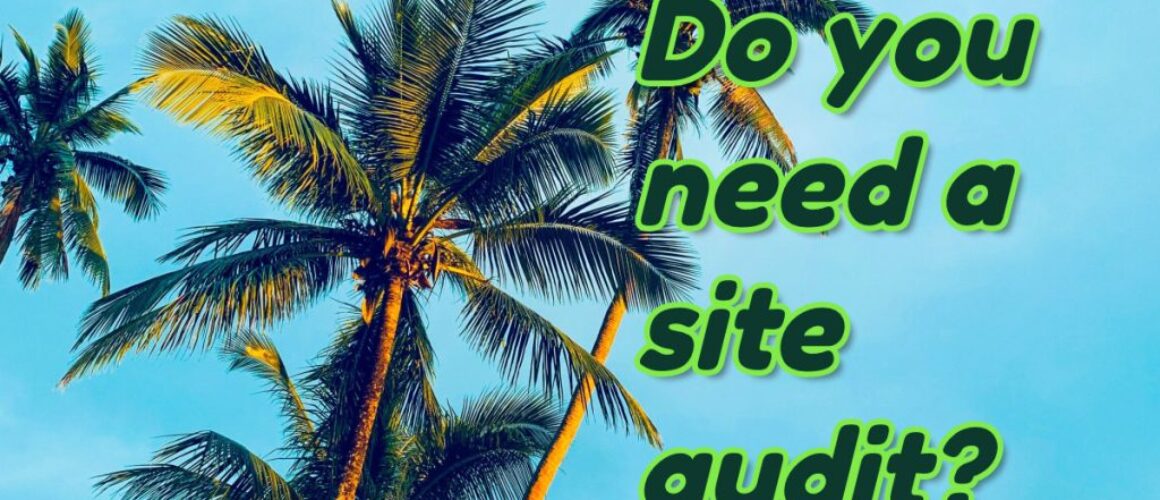 technical site audit