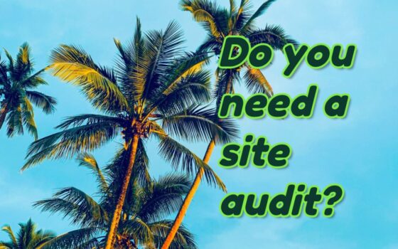 technical site audit